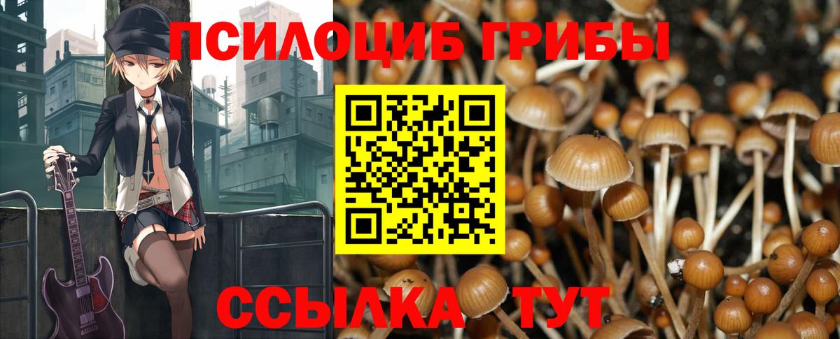 Псилоцибиновые грибы мухоморы Туапсе